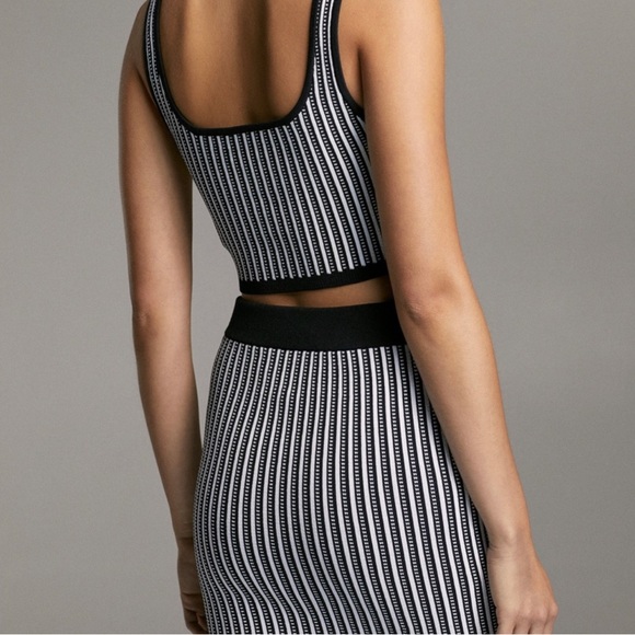 Aritzia Babaton Striped Set- Sculpt Knit Tank & Bodycon Tube Midi Skirt - Picture 4 of 11